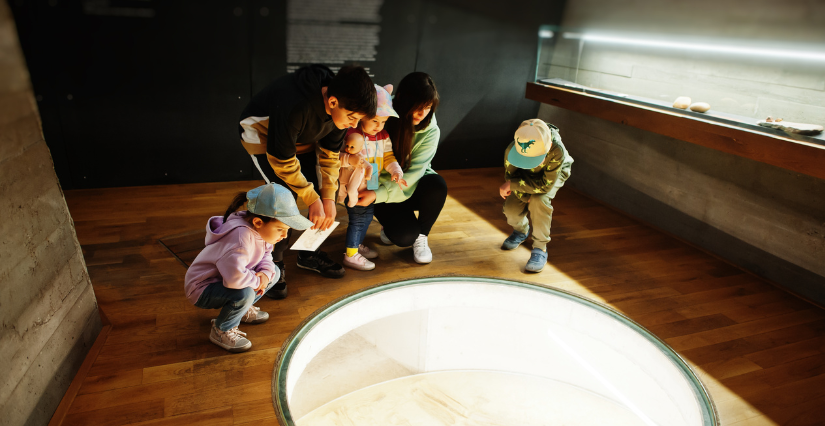 Visite famille " Monstres marins ou animaux préhistoriques" au Musée de Lodève