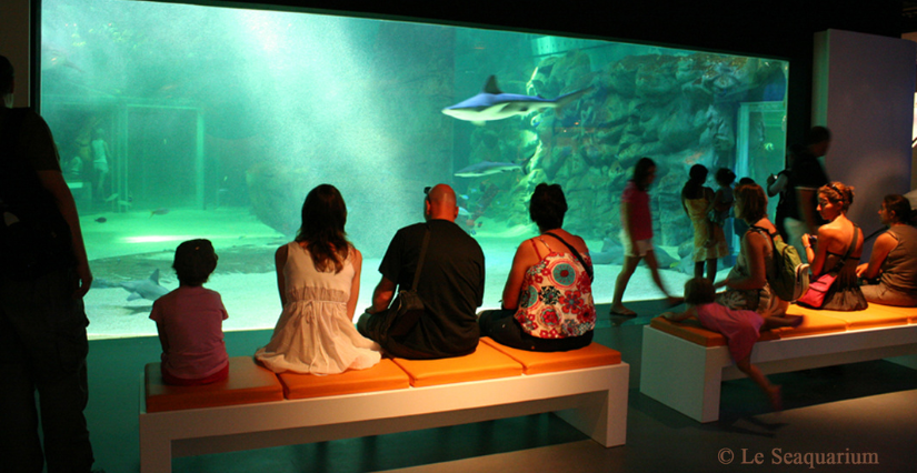 Les vacances d'automne au Seaquarium Institut Marin au Grau du Roi!