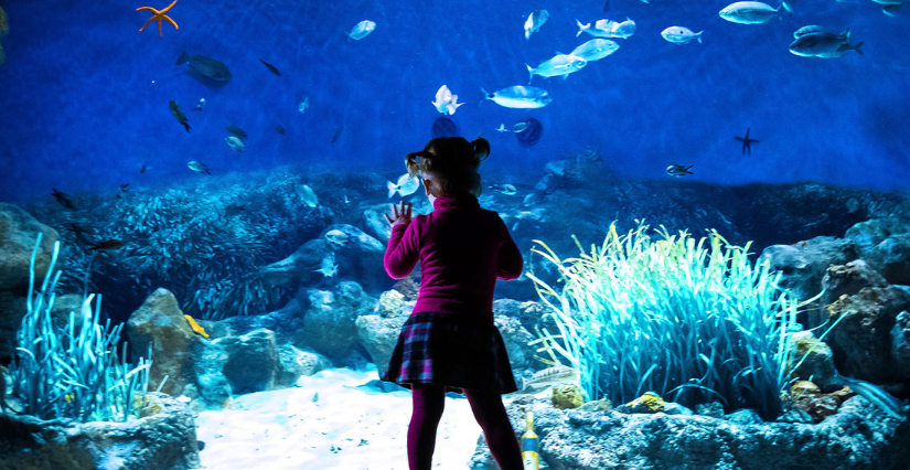 Planet Ocean Montpellier, l’exploration du monde à portée de main!