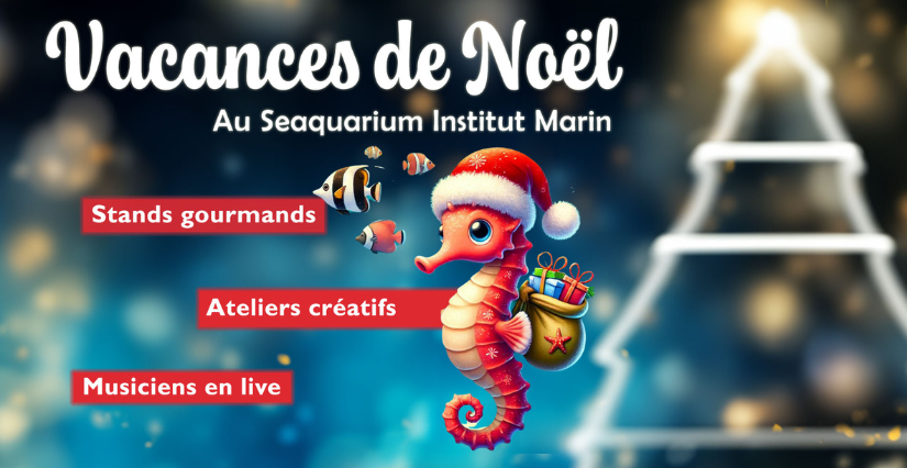 Les animations de Noël au coeur du monde marin du Seaquarium, au Grau-du-Roi!