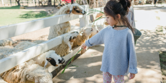 Les Petits Fermiers de Lansargues: une sortie ludique en famille