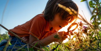 Demain la Terre ! Animation nature en famille dans le coeur de l'Hérault