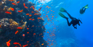 Planet Océan, l'aquarium incontournable de Montpellier