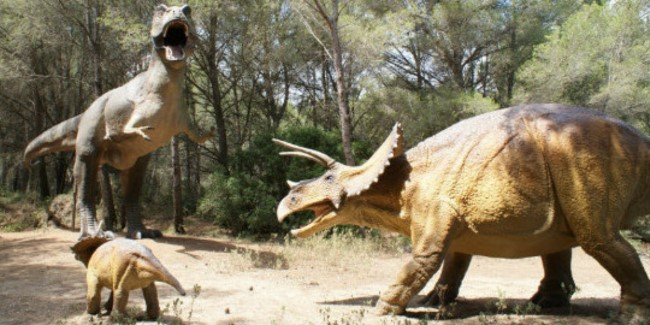 Musée-Parc des Dinosaures à Mèze, voyagez au temps des dinosaures et de la préhistoire
