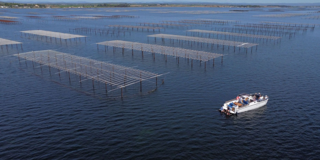 Terre Marine, découvrir la faune marine au départ du Cap d'Agde