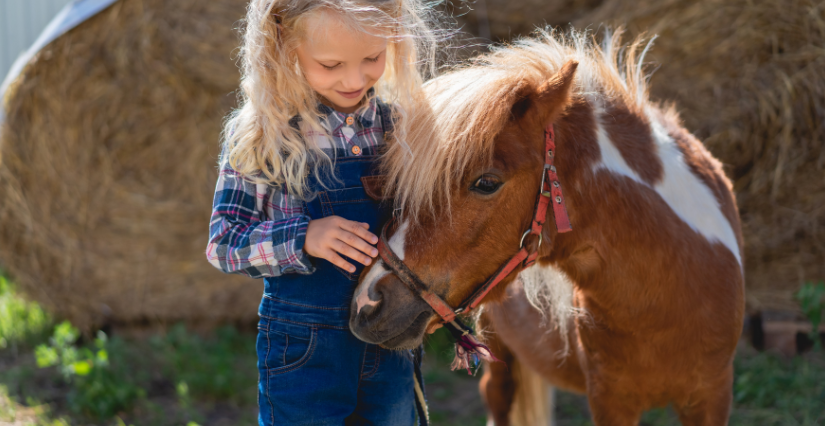 Stage de vacances Poney à la P'tite Ferme