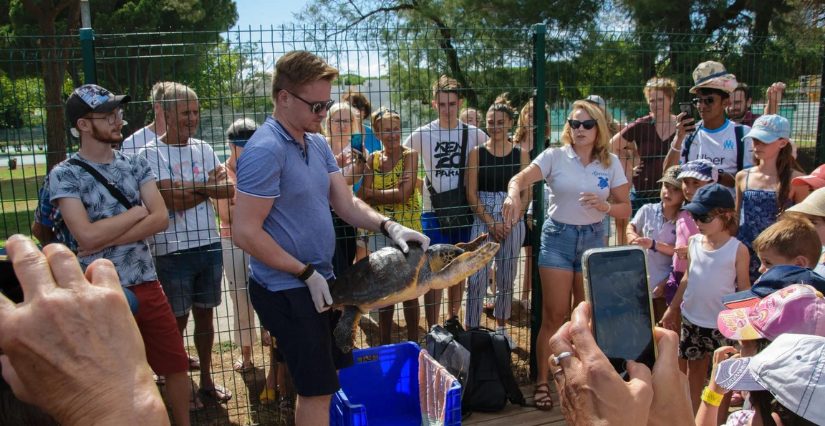 Visite guidée du bassin de réhabilitation des tortues marines à La Grande Motte