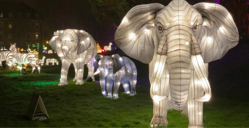 L'Odyssée Lumineuse au Château de Flaugergues à Montpellier!