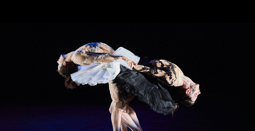 Spectacle de cirque "Le lac des cygnes" au Théâtre Molière de Sète